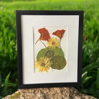 Image 2 of Genuine Nasturtium And Calendula Wildflower Art In 8" X 10" Frame (Item# 2022088)