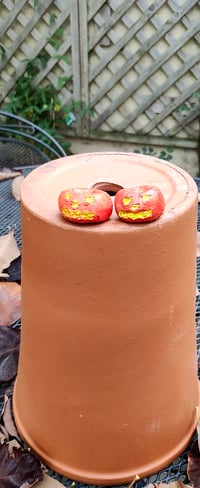 Image 3 of Two Halloween pumpkins