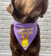 Image 7 of Shake Your Cotton Tail Dog Bandana 