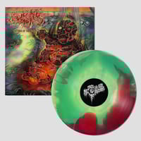 Image 3 of The Anus of the World 12”