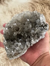 Image 9 of Smoky Quartz Cluster | Brazil #2985