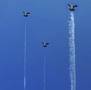 Image of Three Tales - Three Tales