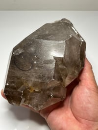 Image 12 of Smoky Quartz Enhydro Multi Terminated Crystal | Zambia #2966 