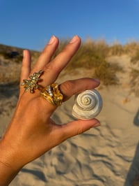Image 4 of SEASHELL HOME