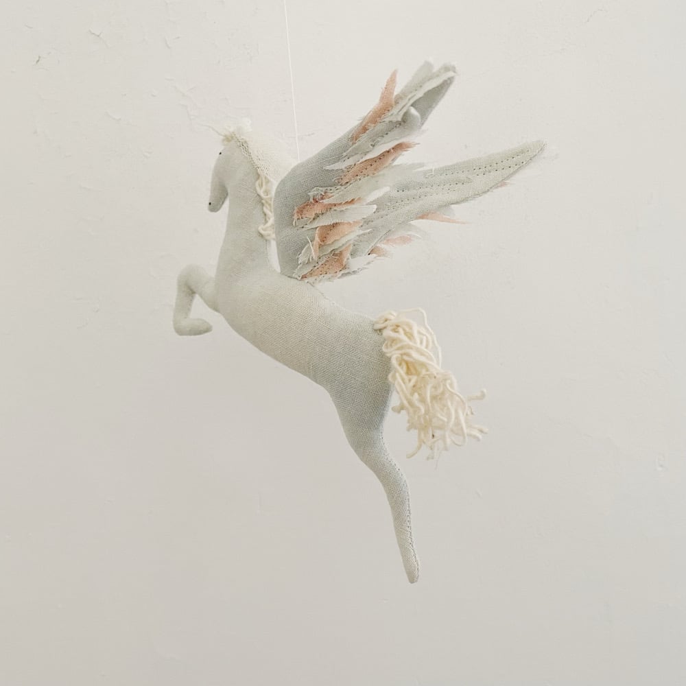 Image of Pegasus mobile 