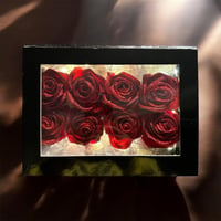 Forever Roses by Rika Boxes with Lights🌹