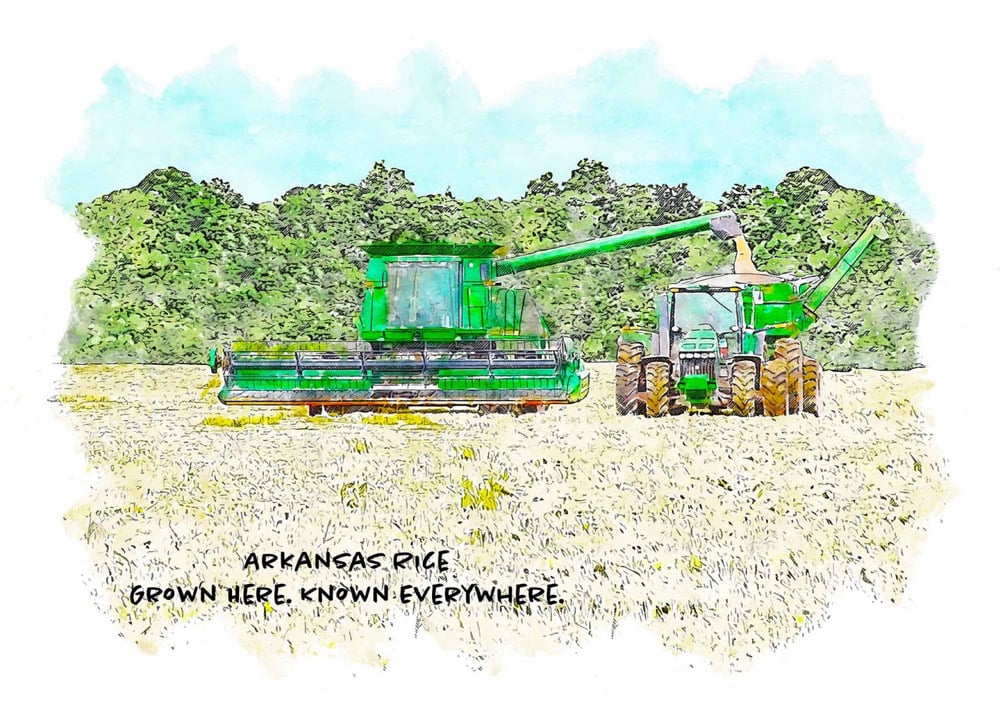 Arkansas Rice Harvest Print