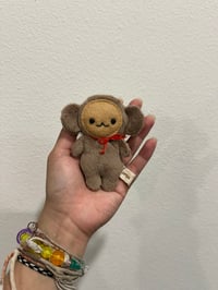 Tiny Monkee boy