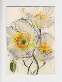 poppies no. 10