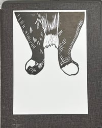 Image 1 of Domino Mystery Feets