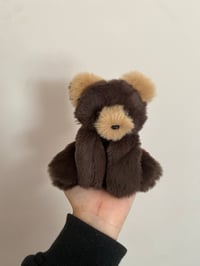 Image 2 of Cozy The Witch Bear