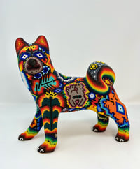 Image 1 of Husky