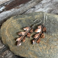 Image 3 of Autumn Leaf Earrings ~ Oak