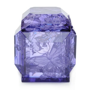 Image of Butterfly Petite Lucite Box