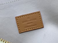 Image 5 of LV Coloured Pouch