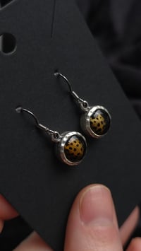 Image 2 of Ladybird earrings