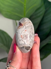 Image 6 of MEXICAN LACE AGATE SHIVA H