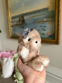 Image 1 of Fluffy Seal 2