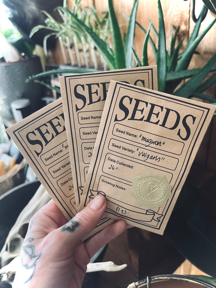 Image of Organic Artemisia Vulgaris Seeds (Mugwort) 