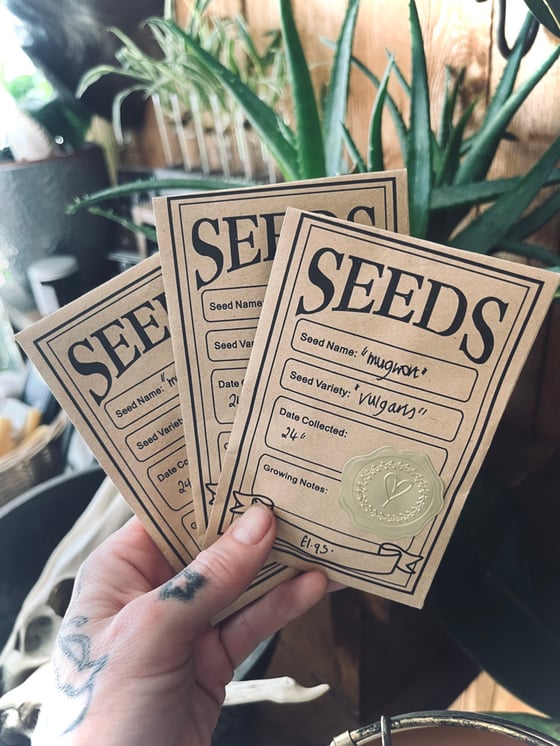 Image of Organic Artemisia Vulgaris Seeds (Mugwort) 