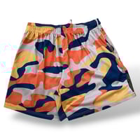Image 2 of MESH SHORTS #1