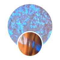 Image 1 of Morpho Iridescent Multichrome 