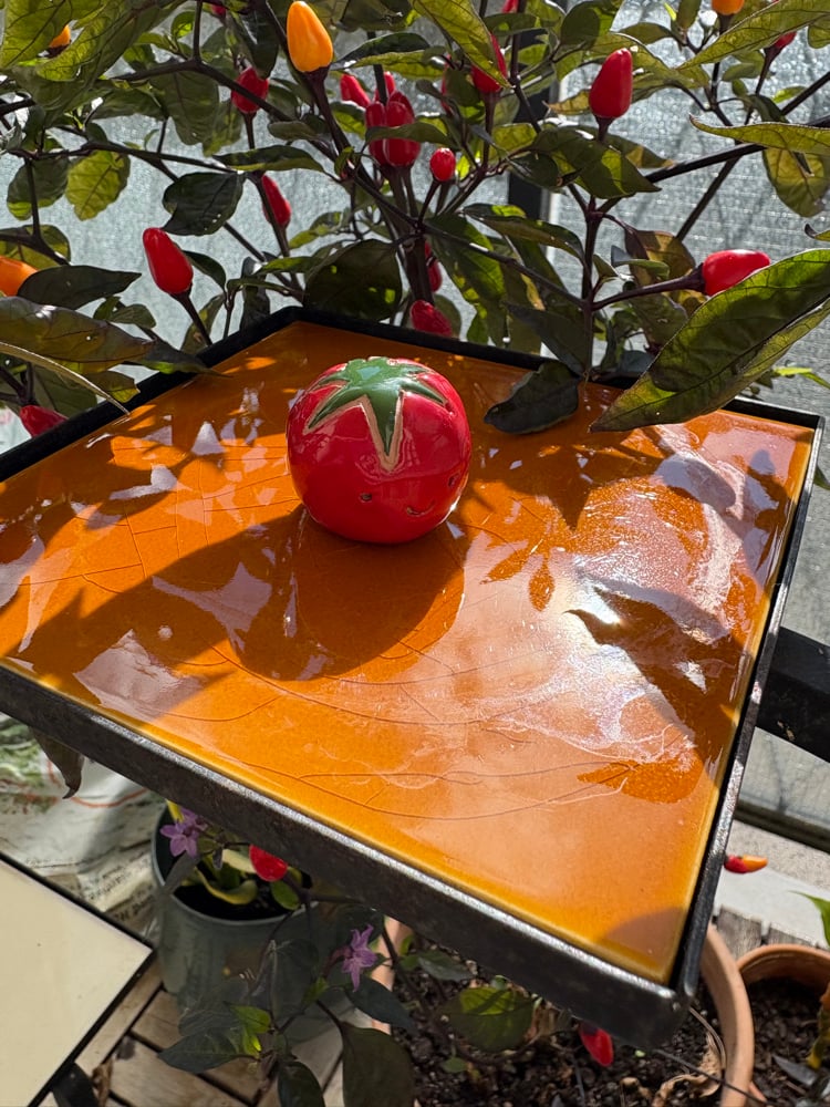 Image of cheeky tomato