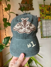 Image 2 of Patchy Caps