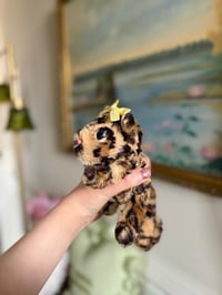 Image 1 of Baby Leopard