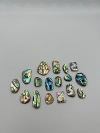 Image 3 of Abalone option 13