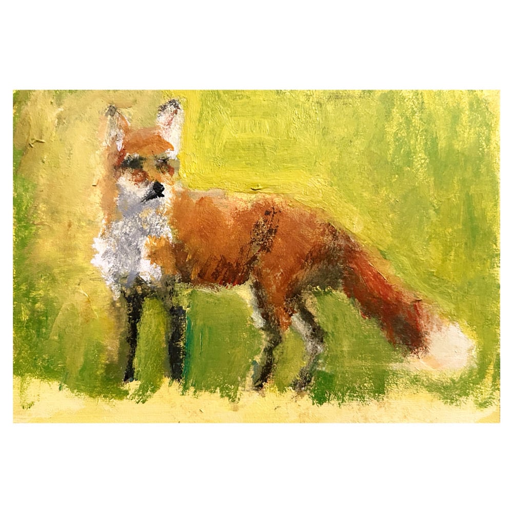 Image of ‘Bin Night Fox’