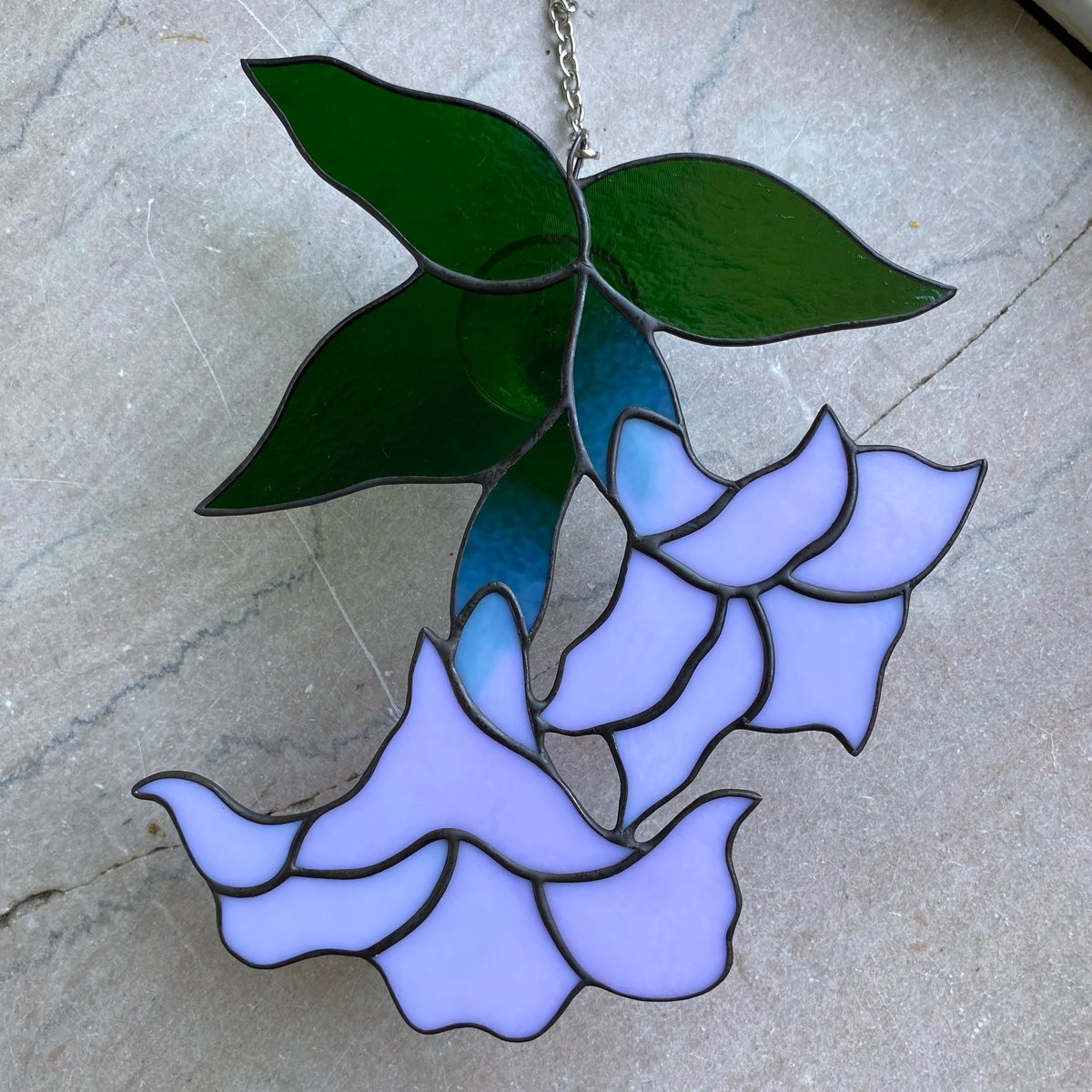 Image of Datura Flowers