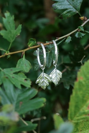 Image of Twiggy Hawthorn Hoop Earrings