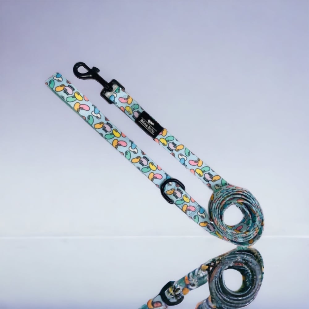 Image of Cool Beans Collection - Leash