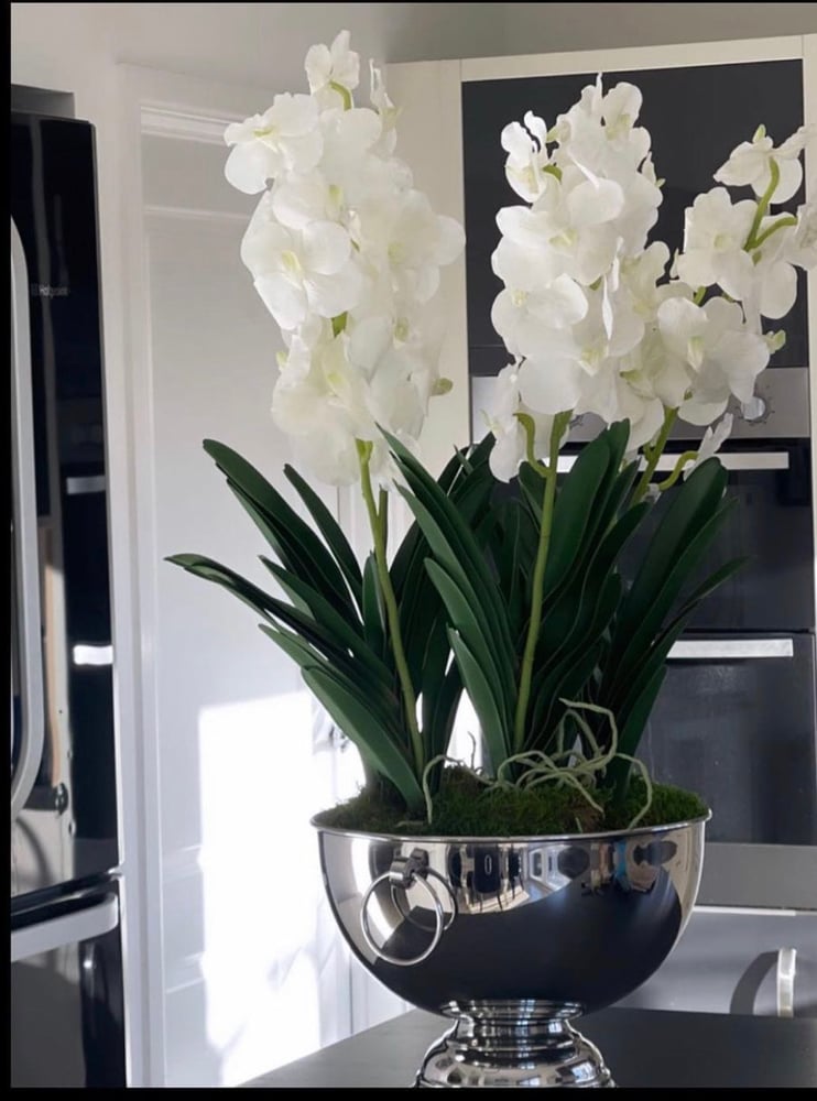Image of Vanda orchids in champagne bowl