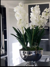 Image 1 of Vanda orchids in champagne bowl