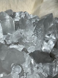 Image 19 of Grey Phantom Quartz Points Cluster #2244
