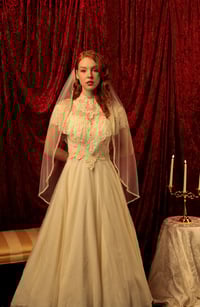 Image 5 of Pearl Trimmed Veil