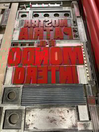 Image 3 of NOSTRA PATRIA TEA TOWEL