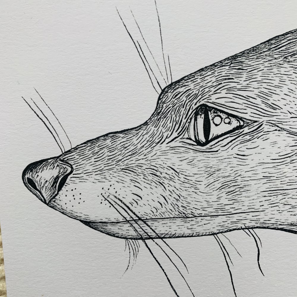 Image of Fox Ink Painting Print