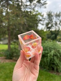 Image 1 of Vanity Cups