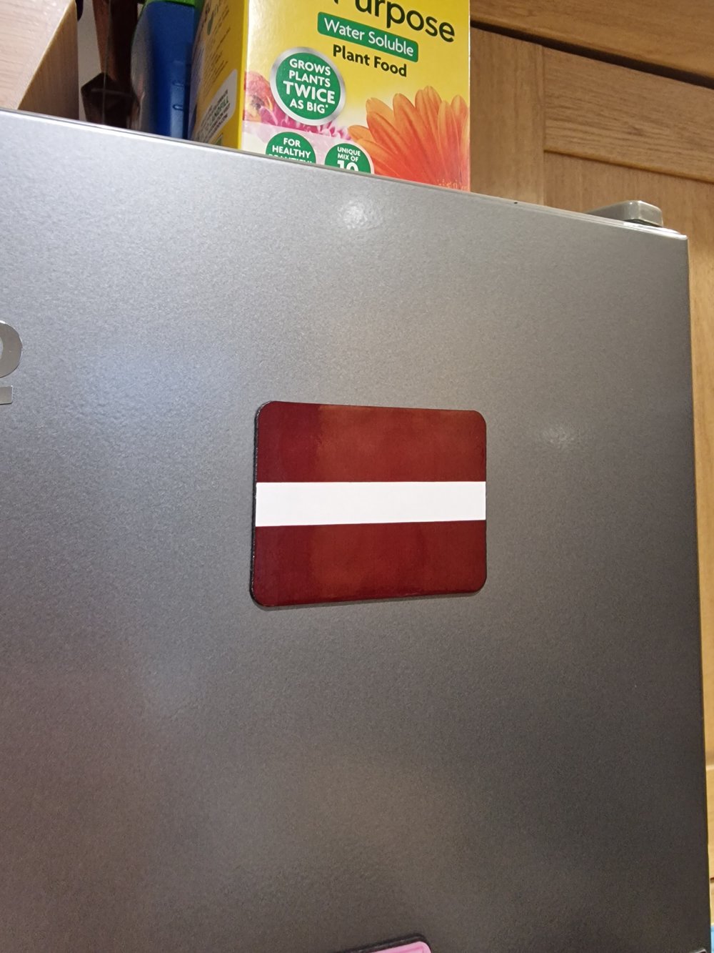 Image of Custom fridge magnets 