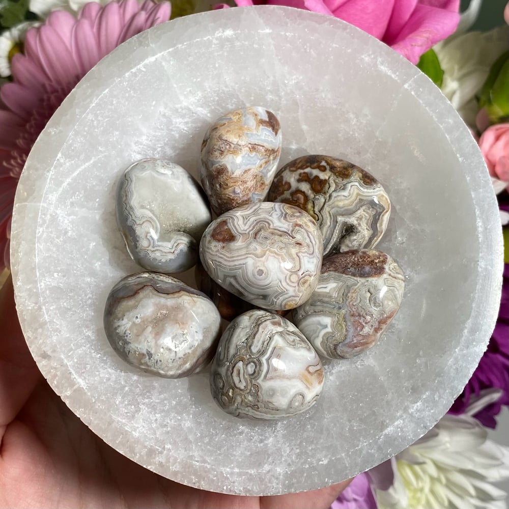 Image of Mexican Crazy Lace Agate Tumble