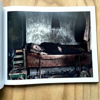 Image 8 of Tamas Dezso - Notes For An Epilogue 