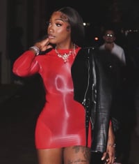 Image 2 of Red mesh mini 