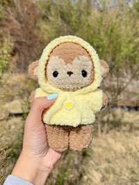 Baby Monkey