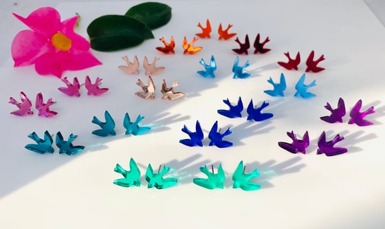 Image of Zrcadloví Ptáčci