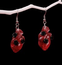 Image 3 of Corazon 