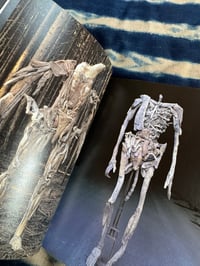 Image 5 of note 1, Nagato Iwasaki, 1999