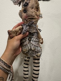 Image 5 of Donna Dolly